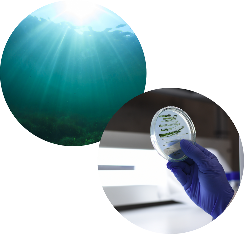 Laborwasseraufbereitung Microbiologie